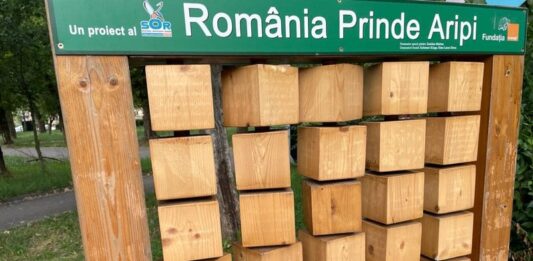 România needucată