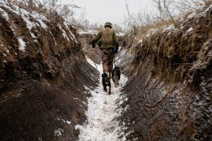 Un soldat se plimbă cu câinii într-un tranșeu din prima linie. Acesta spune că tranșeele îi amintesc de cele din Primul Război Mondial