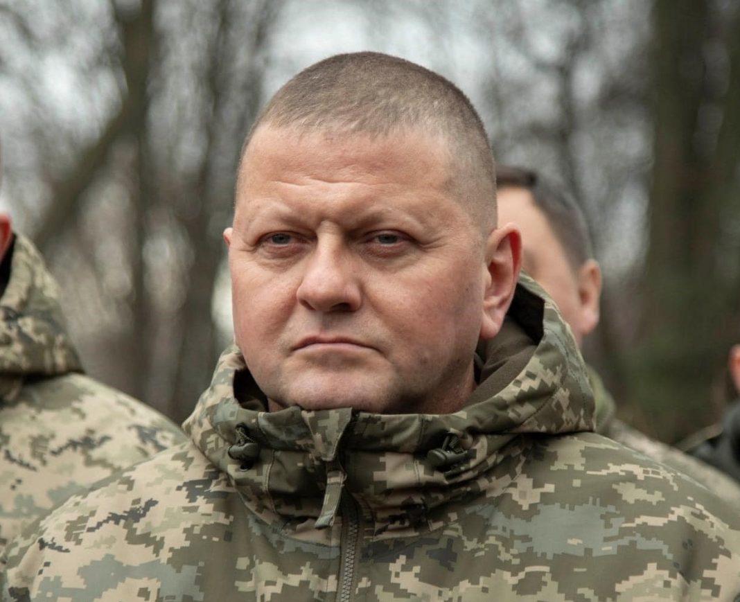 Valeri Zalujnîi